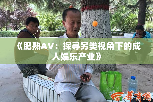 《肥熟AV：探寻另类视角下的成人娱乐产业》