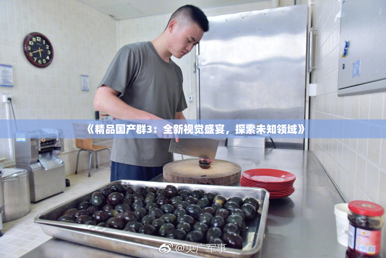 《精品国产群3：全新视觉盛宴，探索未知领域》