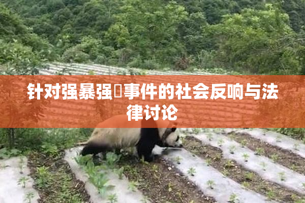 针对强暴强姦事件的社会反响与法律讨论