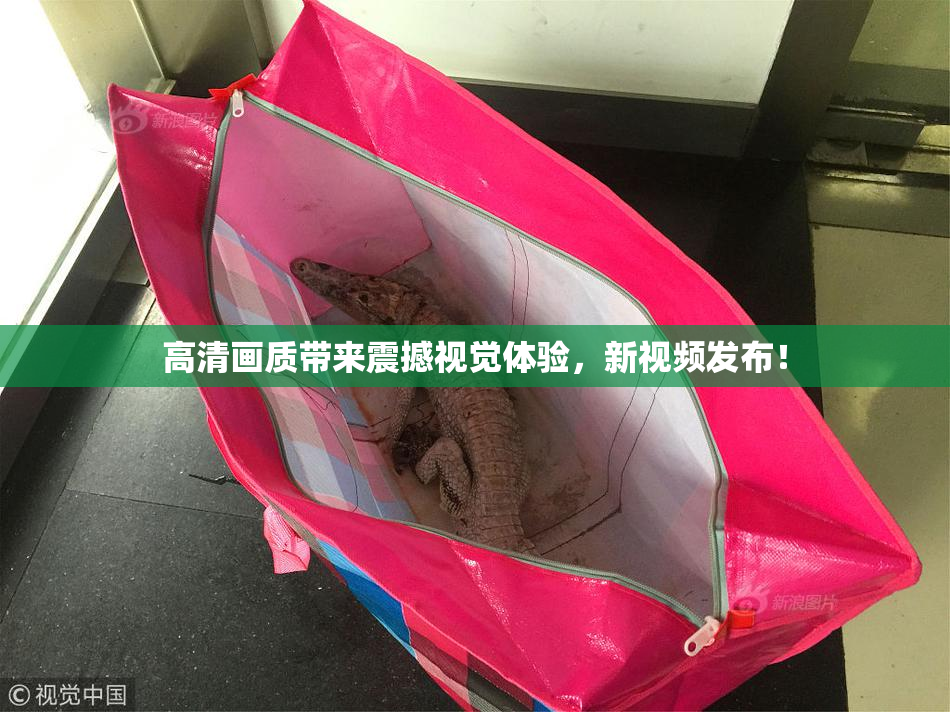高清画质带来震撼视觉体验，新视频发布！