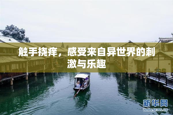 触手挠痒，感受来自异世界的刺激与乐趣