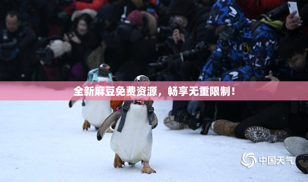 全新麻豆免费资源，畅享无重限制！