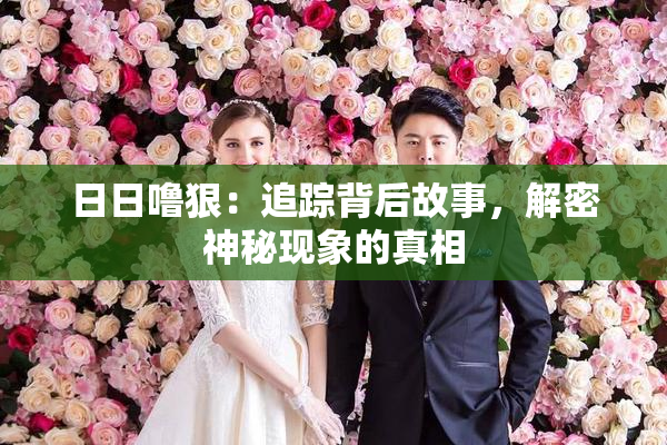 日日噜狠：追踪背后故事，解密神秘现象的真相