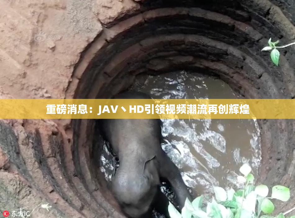 重磅消息：JAV丶HD引领视频潮流再创辉煌