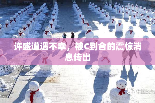 许盛遭遇不幸，被C到合的震惊消息传出