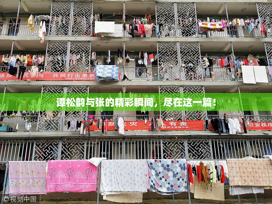 谭松韵与张的精彩瞬间，尽在这一篇！