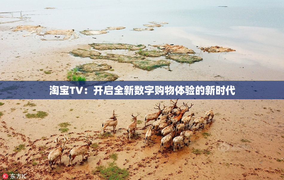 淘宝TV：开启全新数字购物体验的新时代