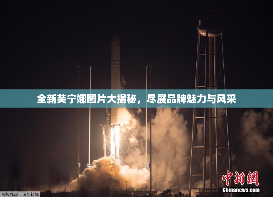 全新芙宁娜图片大揭秘，尽展品牌魅力与风采