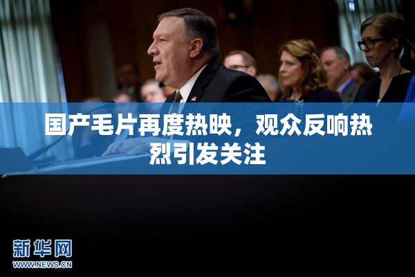 国产毛片再度热映，观众反响热烈引发关注