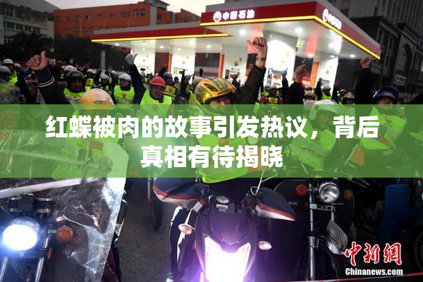 红蝶被肉的故事引发热议，背后真相有待揭晓