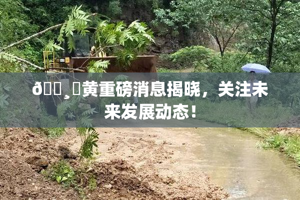 🌸‌黄重磅消息揭晓，关注未来发展动态！