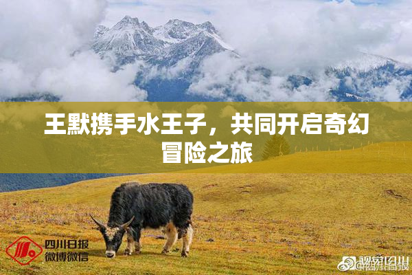 王默携手水王子，共同开启奇幻冒险之旅