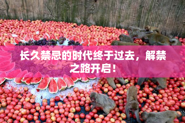 长久禁忌的时代终于过去，解禁之路开启！