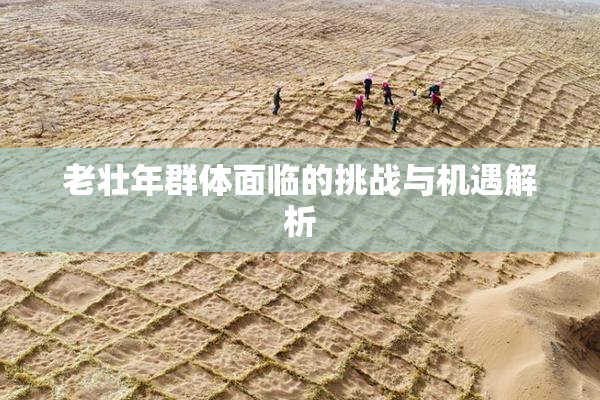 老壮年群体面临的挑战与机遇解析
