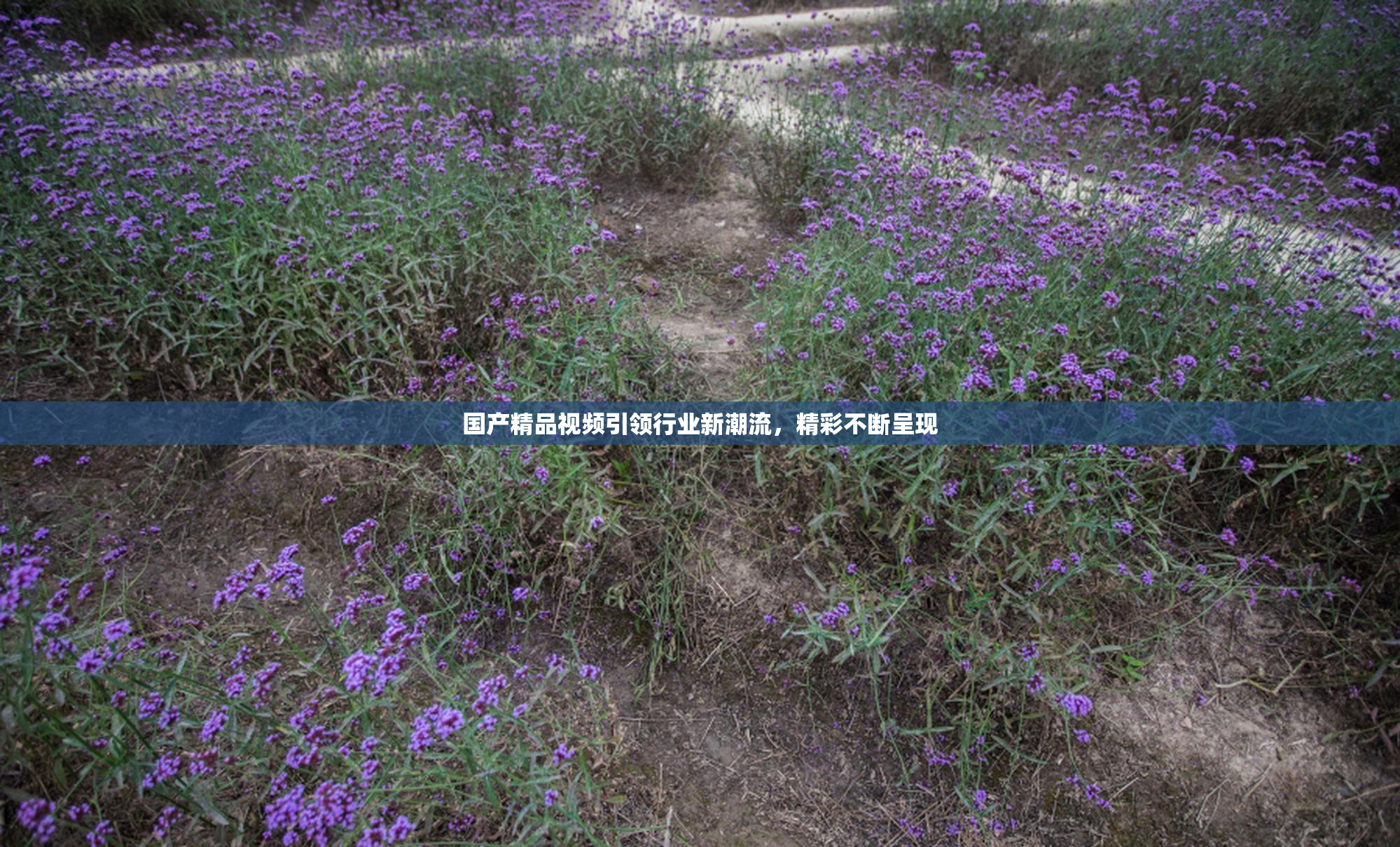 国产精品视频引领行业新潮流，精彩不断呈现