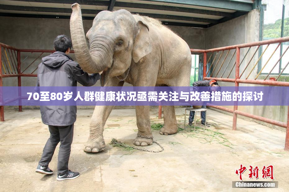 70至80岁人群健康状况亟需关注与改善措施的探讨