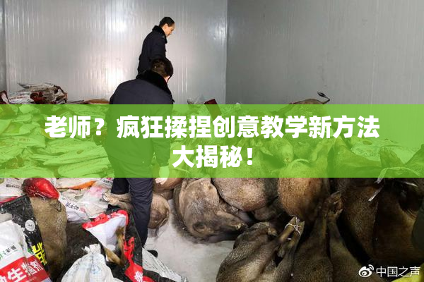 老师？疯狂揉捏创意教学新方法大揭秘！