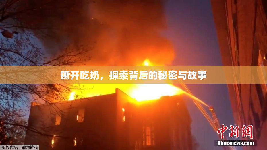 撕开吃奶，探索背后的秘密与故事
