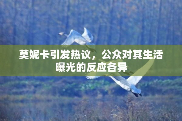 莫妮卡引发热议，公众对其生活曝光的反应各异