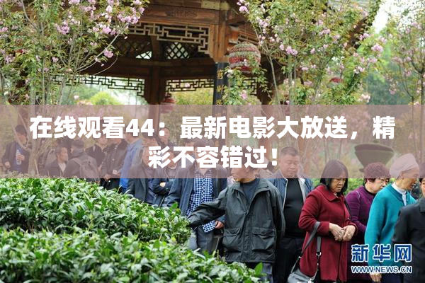 在线观看44：最新电影大放送，精彩不容错过！