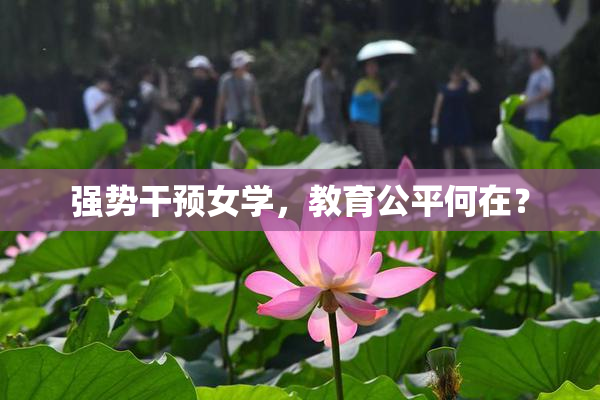 强势干预女学，教育公平何在？