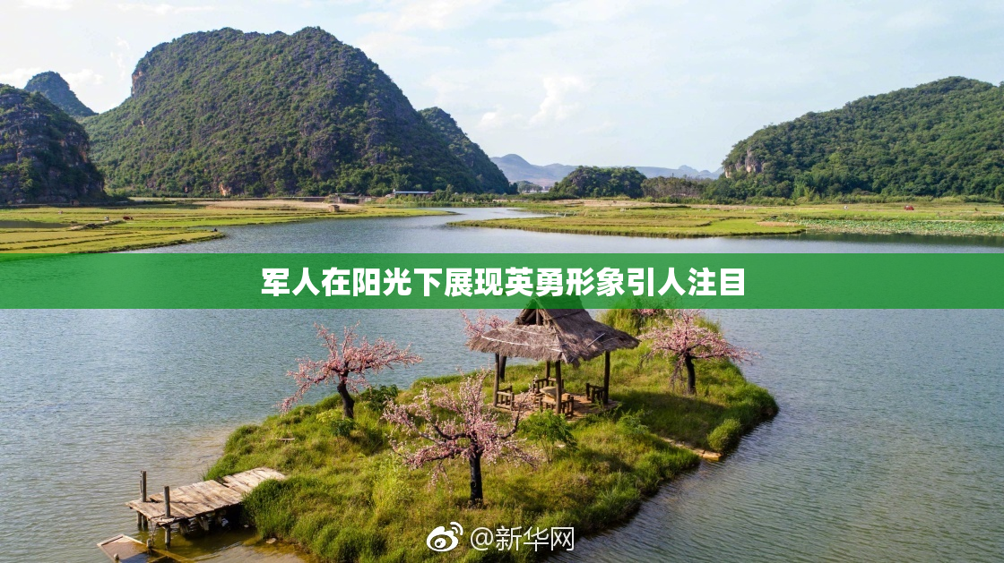 军人在阳光下展现英勇形象引人注目
