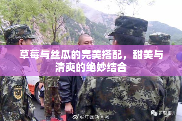 草莓与丝瓜的完美搭配，甜美与清爽的绝妙结合