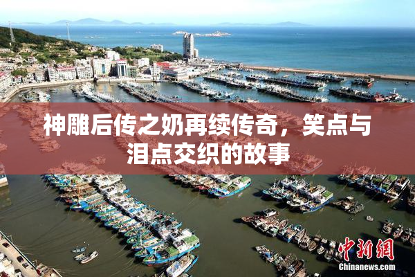 神雕后传之奶再续传奇，笑点与泪点交织的故事