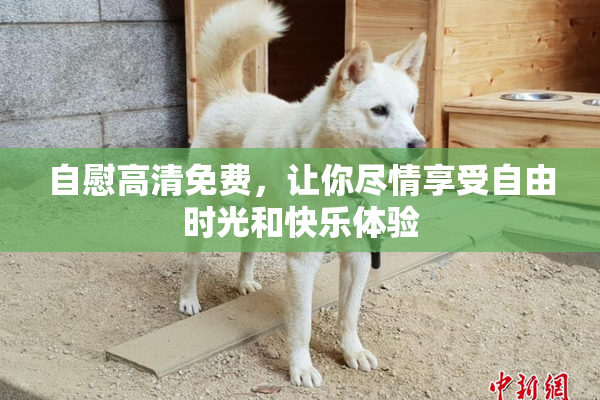 自慰高清免费，让你尽情享受自由时光和快乐体验