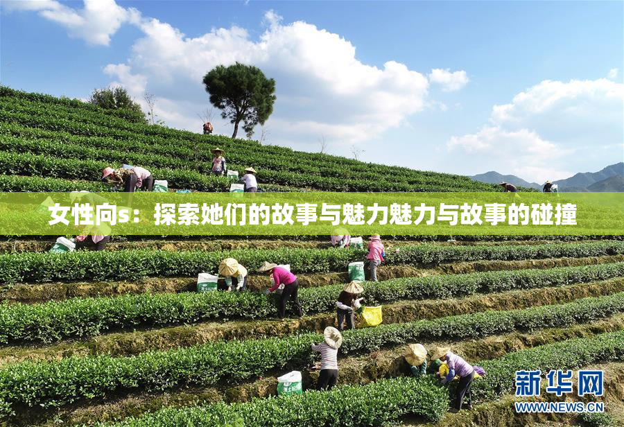 女性向s：探索她们的故事与魅力魅力与故事的碰撞
