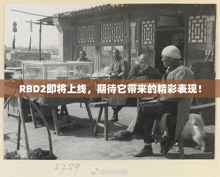 RBD2即将上线，期待它带来的精彩表现！