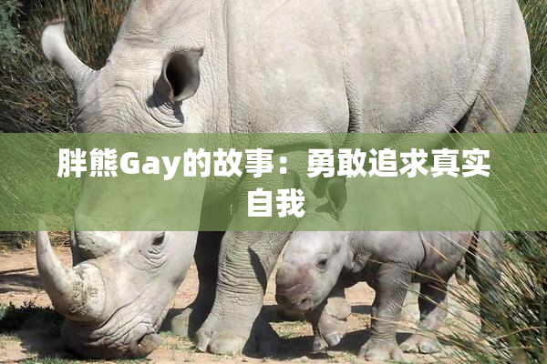 胖熊Gay的故事：勇敢追求真实自我
