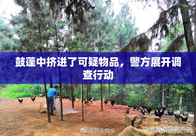 鼓蓬中挤进了可疑物品，警方展开调查行动