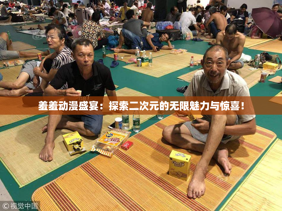羞羞动漫盛宴：探索二次元的无限魅力与惊喜！