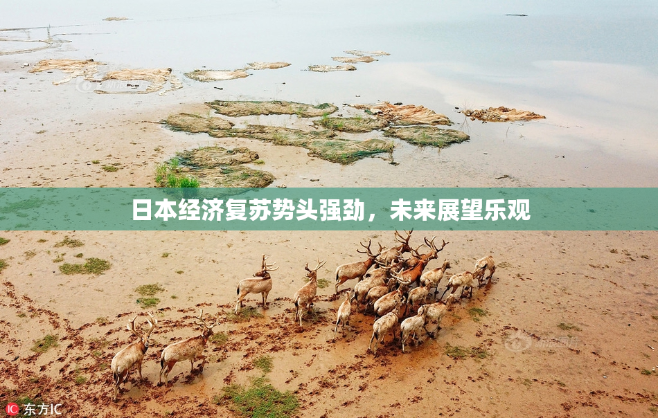 日本经济复苏势头强劲，未来展望乐观
