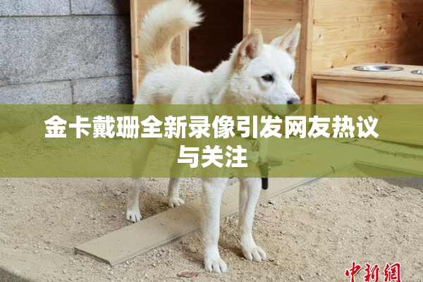 金卡戴珊全新录像引发网友热议与关注