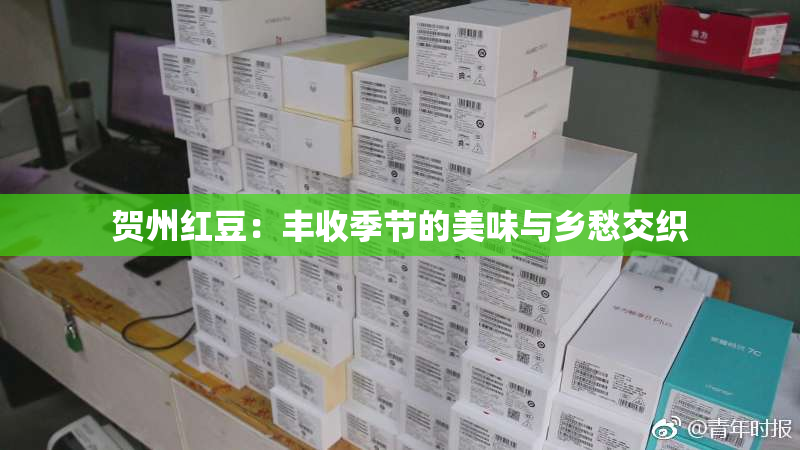 贺州红豆：丰收季节的美味与乡愁交织