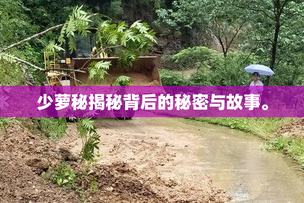 少萝秘揭秘背后的秘密与故事。