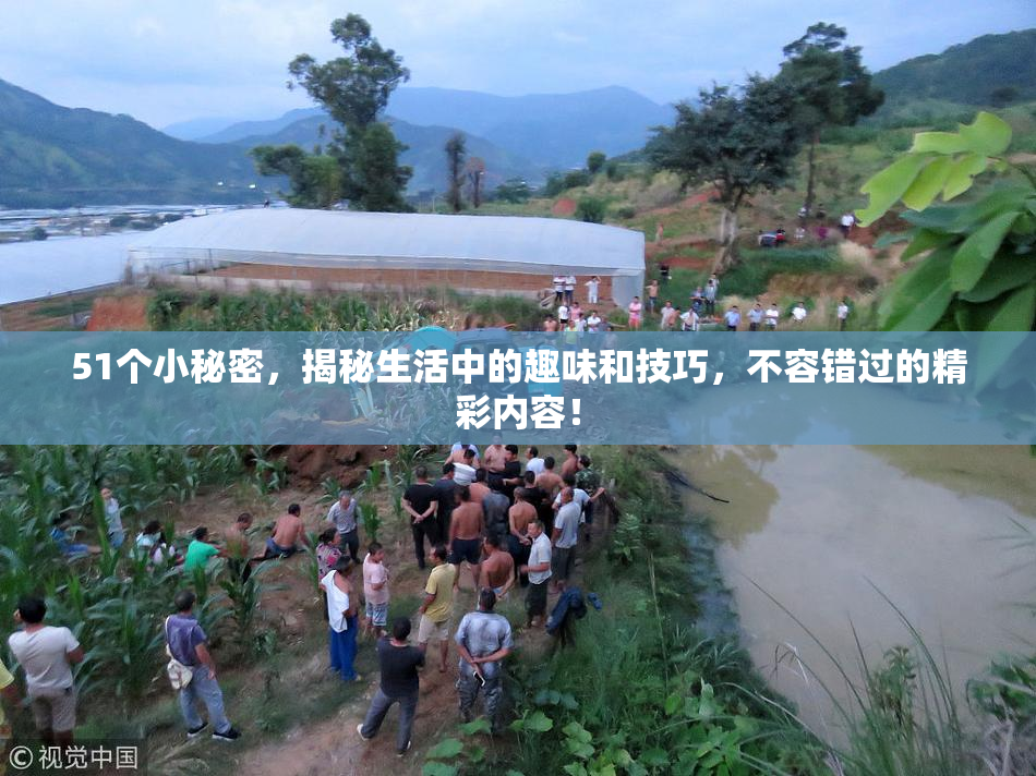 51个小秘密，揭秘生活中的趣味和技巧，不容错过的精彩内容！