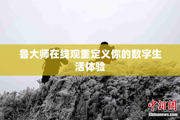 鲁大师在线观重定义你的数字生活体验