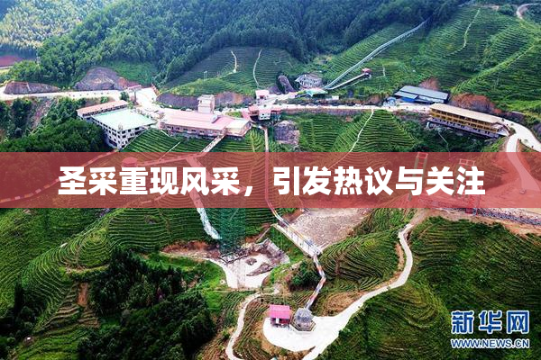 圣采重现风采，引发热议与关注