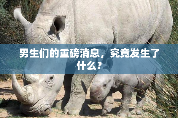 男生们的重磅消息，究竟发生了什么？