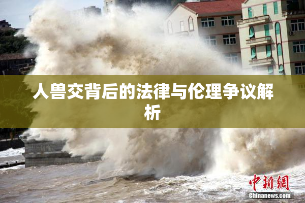 人兽交背后的法律与伦理争议解析