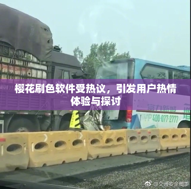 樱花刷色软件受热议，引发用户热情体验与探讨
