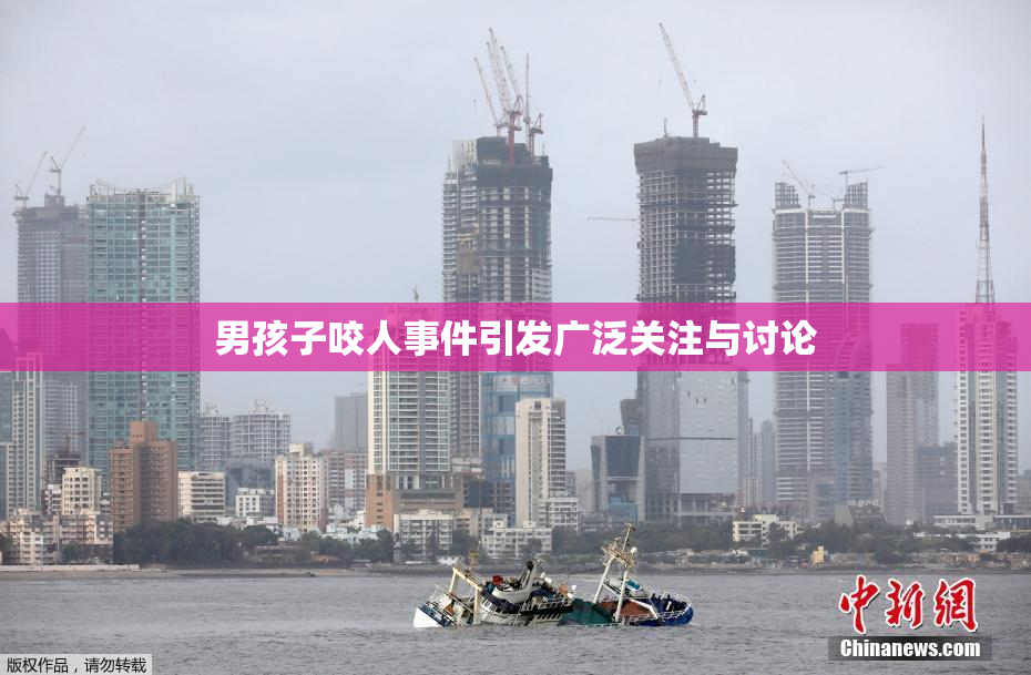 男孩子咬人事件引发广泛关注与讨论