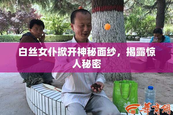 白丝女仆掀开神秘面纱，揭露惊人秘密