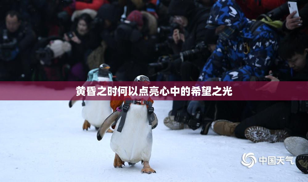 黄昏之时何以点亮心中的希望之光