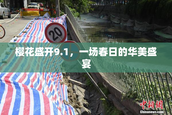 樱花盛开9.1，一场春日的华美盛宴