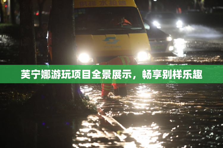 芙宁娜游玩项目全景展示，畅享别样乐趣