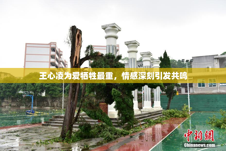 王心凌为爱牺牲最重，情感深刻引发共鸣
